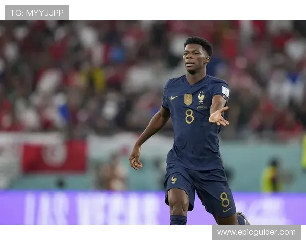 琼阿梅尼罚失点球所引发的技术稳定性与心理抗压能力讨论